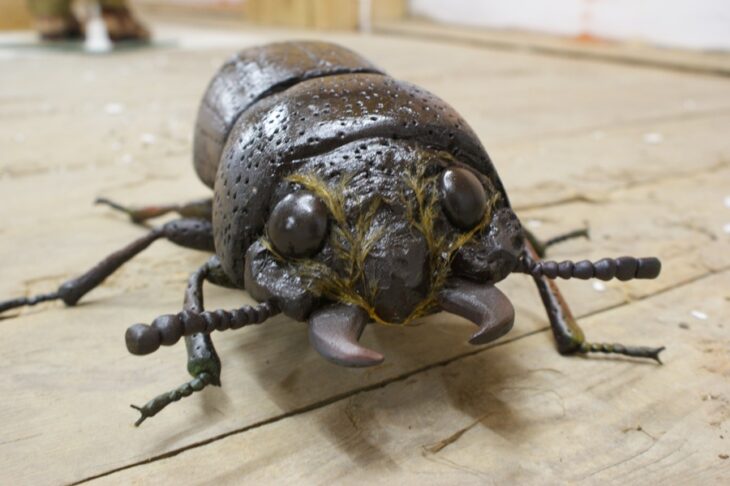 Model: Rogatek spichrzowy