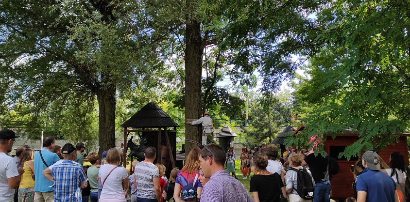Grupa ludzi obserwuje bartnika wspinającego się za pomocą liny na drzewo do barci po miód