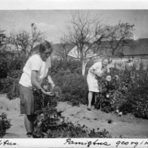 Praca w ogrodzie przy kwiatach – Sitno, dwudziestolecie międzywojenne